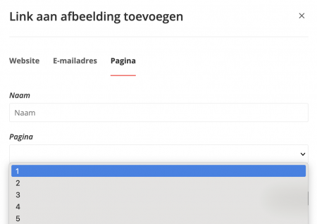 Hyperlink-naar-pagina.png