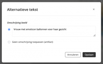 Toegankelijkheid-alt-tekst-emailing.png