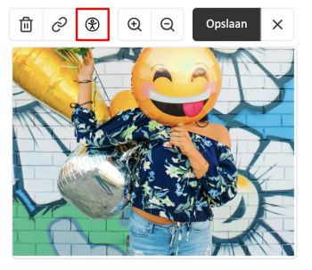 Toegankelijkheid-alttekst-emailing.png