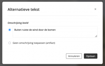 Toegankelijkheid-alttekst-voorbeeld.png
