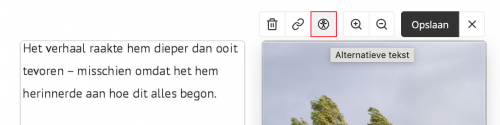 Toegankelijkheid-alttekst.png